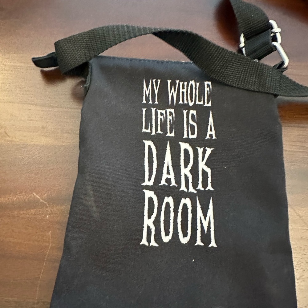 RARE Loungefly Beetlejuice Lydia Passport Crossbody Bag - Picture 5 of 6